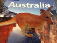 Australia_kangaroo