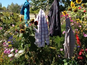 More of Calgary in the spring.