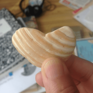 The first shell I found on the beach the day we arrived. I think it's a sign! 