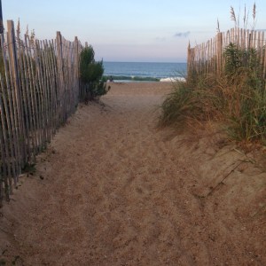 CLICK to enlarge: 200 feet from my back door!