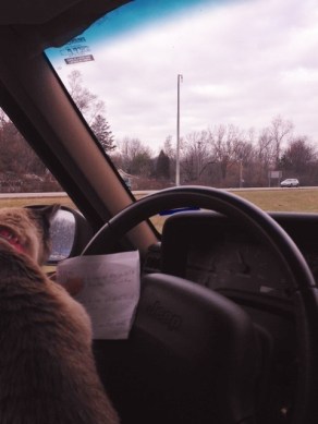 Gatita helping me to read my handwritten directions. She's very old school.